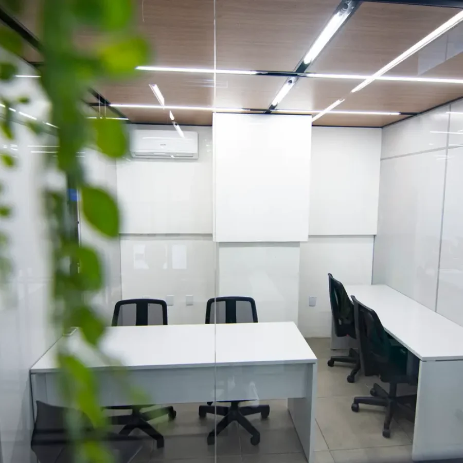 Plurall (256 de 436)